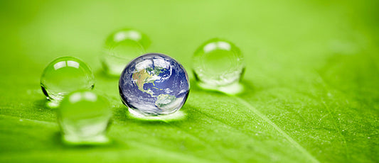 5 Things You Think Are Eco-Friendly But Actually Aren't!