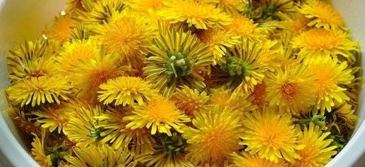 Dandelions Loaf Cake & Other Recipes