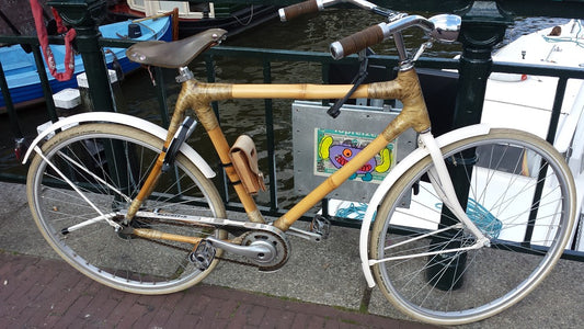 Bamboo: The Material That Can Make Anything*