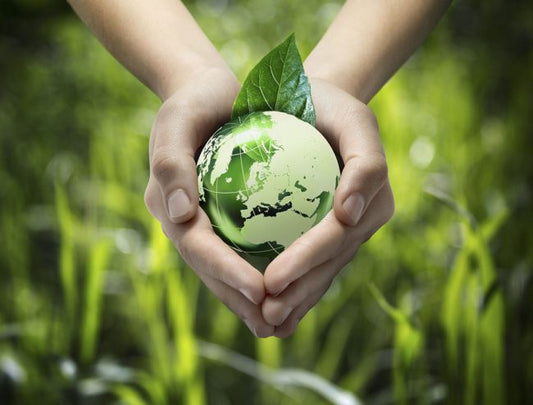 How you can help the environment TODAY!