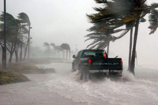 deforestation: one of the major cause of climate change