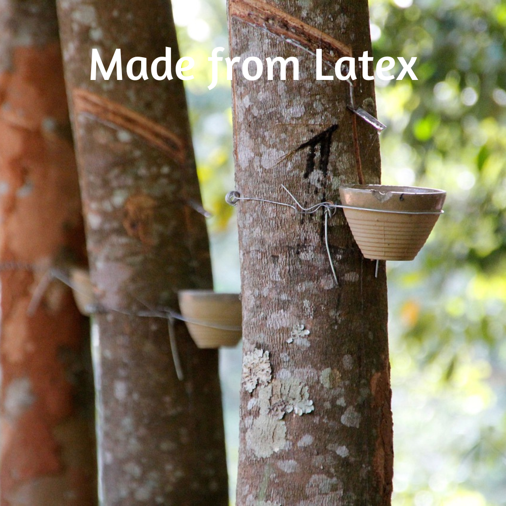 close-up on 3 latex trees that are notch to collect latex. At the top of the image a text says: Made from Latex