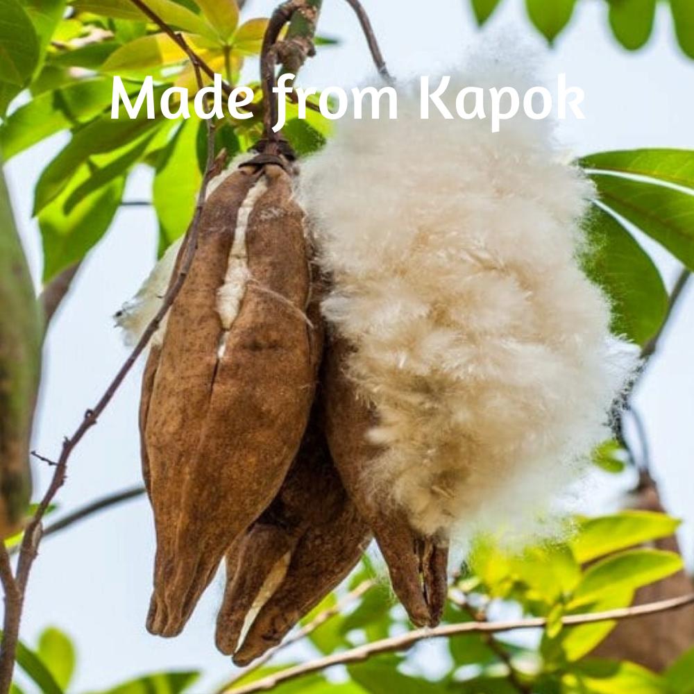 kapok-fibers-coming-out-of-kapok-seed-natural-fibers-filling-bed-pillows