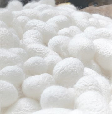 white-silk-coccon-organic-filling-duvet-comforter