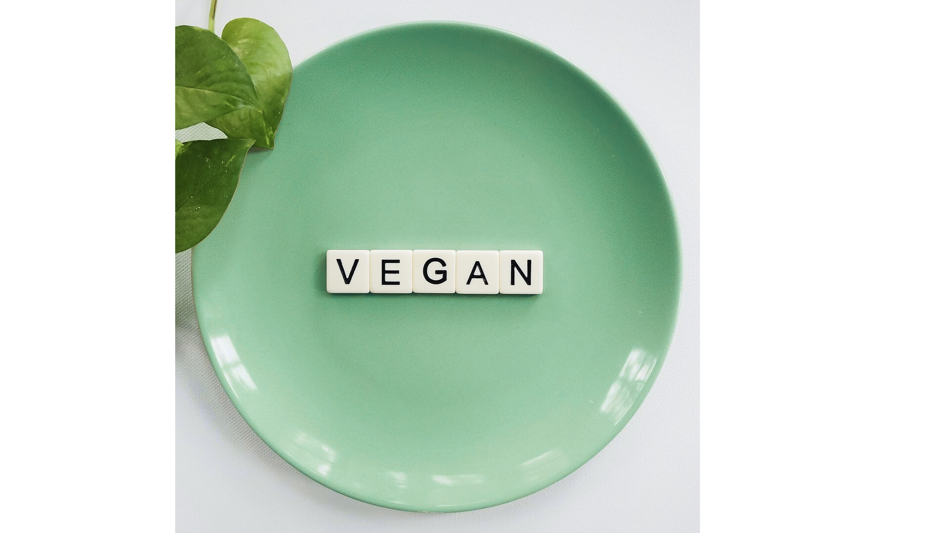 Vegan letters on grenn plate to announce the Vegan Bath & Bed Linens options at SHOO-FOO