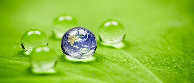 5 Things You Think Are Eco-Friendly But Actually Aren't! - SHOO-FOO, Eco Home Linens