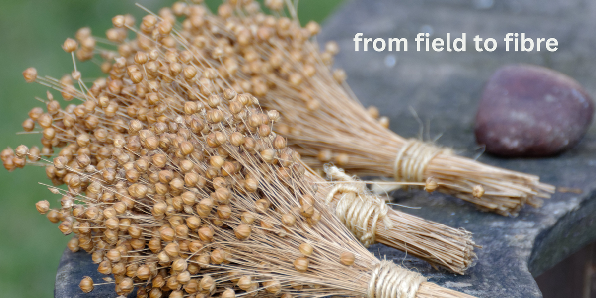 from field to fibre, the journey of natural fibres