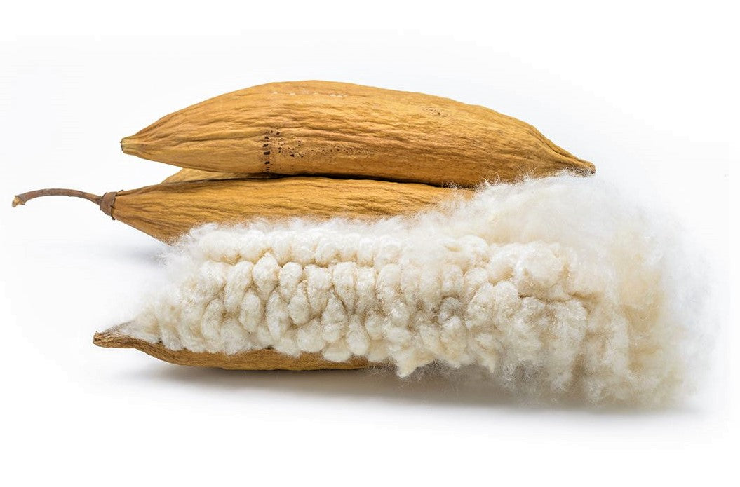 natural kapok fibers are excellent options for organic non-toxic bed pillows