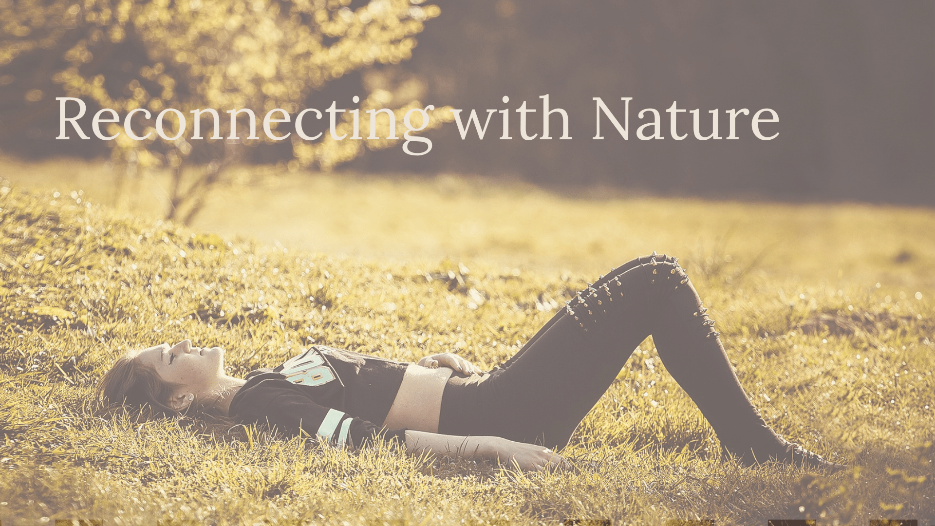ReConnecting with Nature: A Path Back to Balance - SHOO-FOO, Eco Home Linens