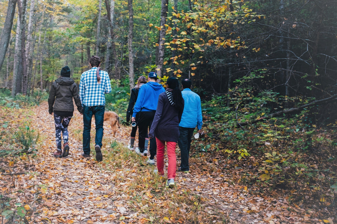 a group of friends walking in the forest, experiencing forest bathing.