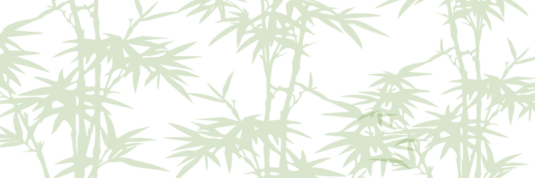 Bamboo: A Sustainable, Eco-Friendly Plant for All Aspects of Eco Living