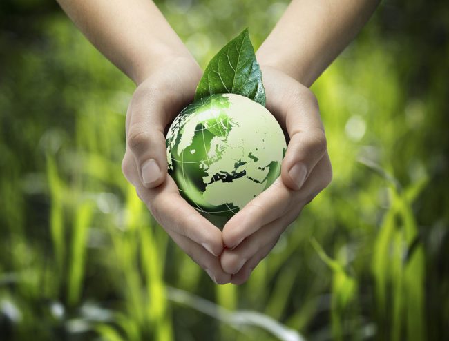 How you can help the environment TODAY!