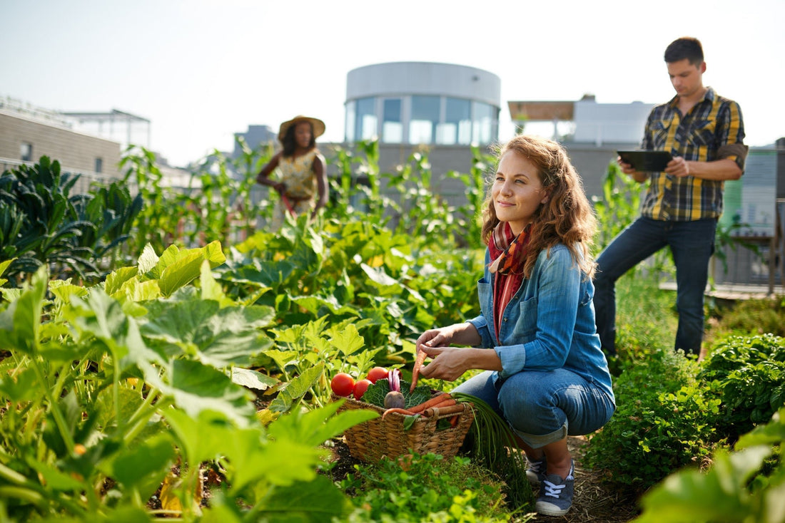 7 Tips on How to Create an Eco Friendly Urban Garden - SHOO-FOO, Eco Home Linens