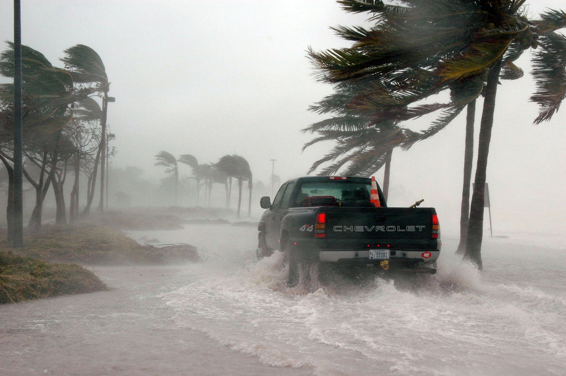 deforestation: one of the major cause of climate change