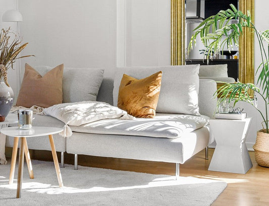 Go Green: Improve Your Home's Health and Eco-Friendliness
