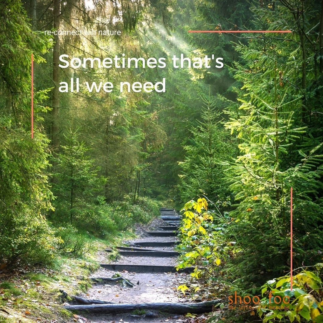 Celebrating Day of Forests: Discover the Marvelous Complexity of Forests - SHOO-FOO, Eco Home Linens