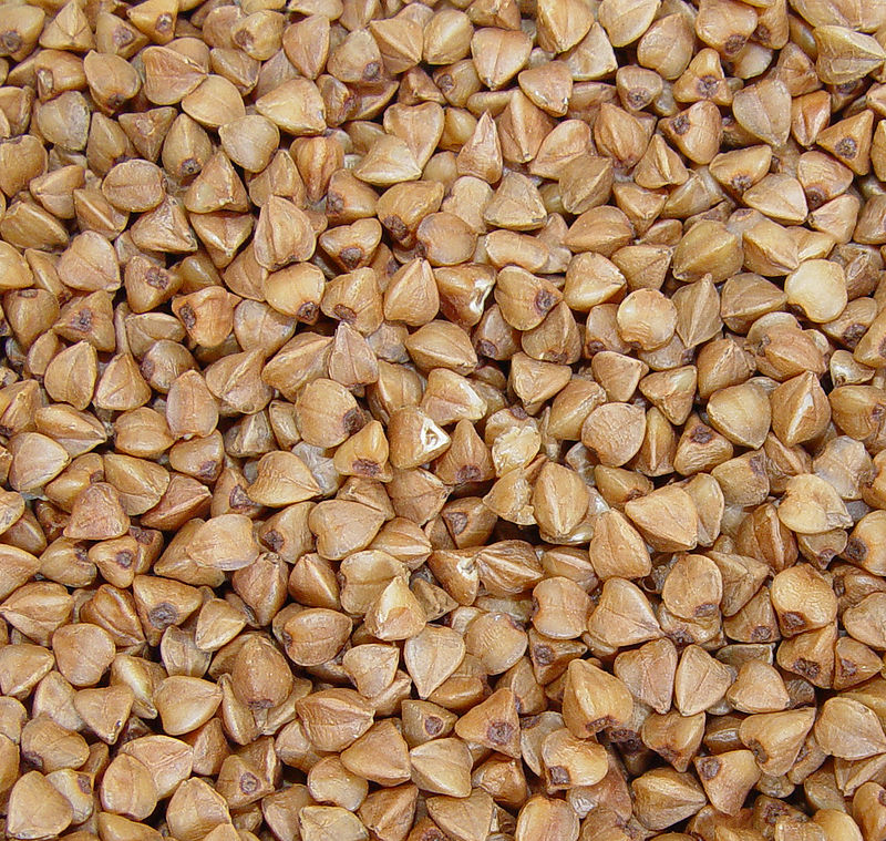 honey-brown-buckwheat-hulls-healthy-pillows-filling