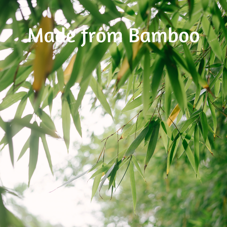 Bamboo-forest-natural-fibers-for-bamboo-sheets