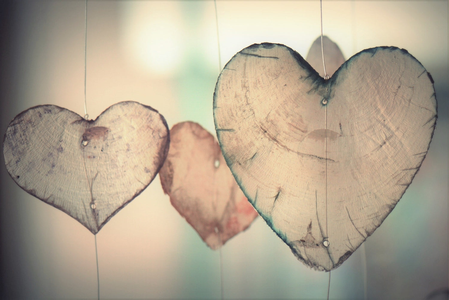floating hearts made from tree's slices calling for valentine day